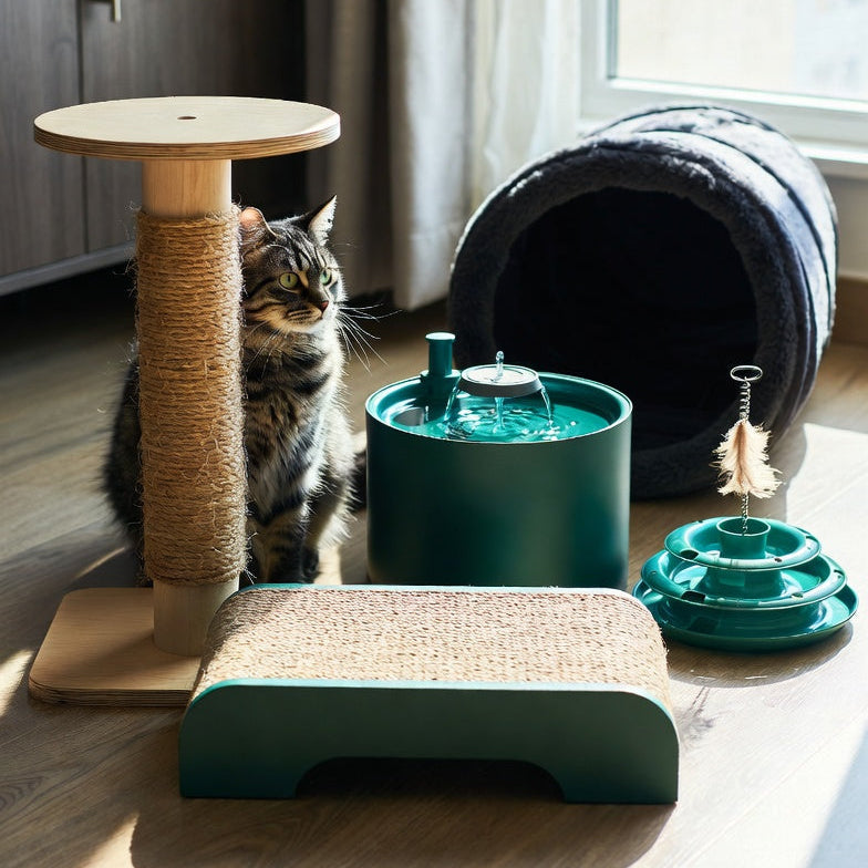 Chats d’intérieur