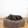 Portada cuadrada premium de Cama ovalada de lana natural para mascotas - beige - Tu Peludo Premium