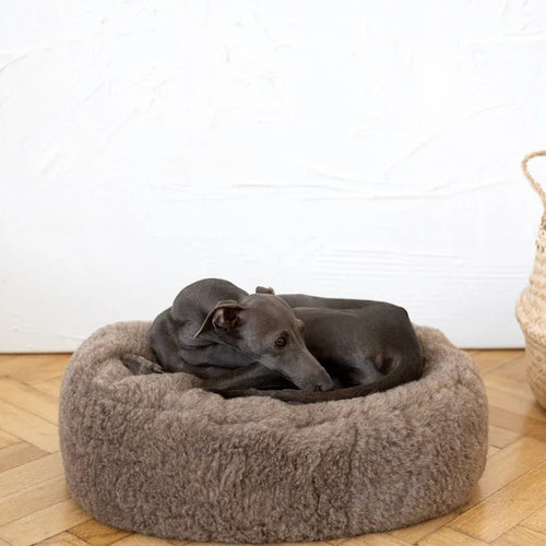 Portada cuadrada premium de Cama ovalada de lana natural para mascotas - beige - Tu Peludo Premium