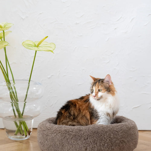 Portada cuadrada premium de Cama redonda de lana natural para mascotas - beige - Tu Peludo Premium
