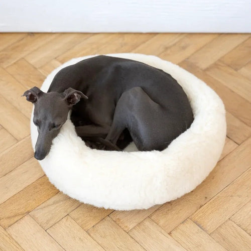Portada cuadrada premium de Cama redonda de lana natural para mascotas - blanco - Tu Peludo Premium