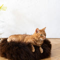 Portada cuadrada premium de Cama redonda de piel natural para mascotas - marrón - Tu Peludo Premium