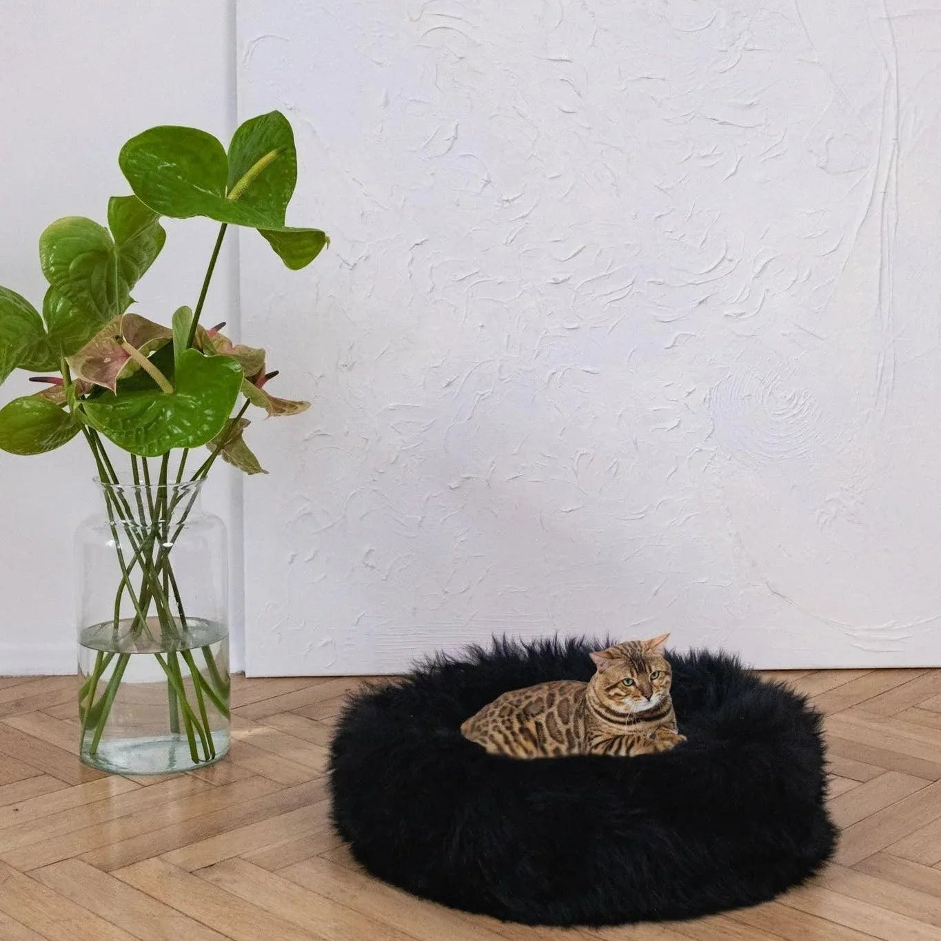 Portada cuadrada premium de Cama redonda de piel natural para mascotas - negro - Tu Peludo Premium