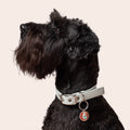 Portada cuadrada premium de Colgante de plata para collar de perro - Tu Peludo Premium