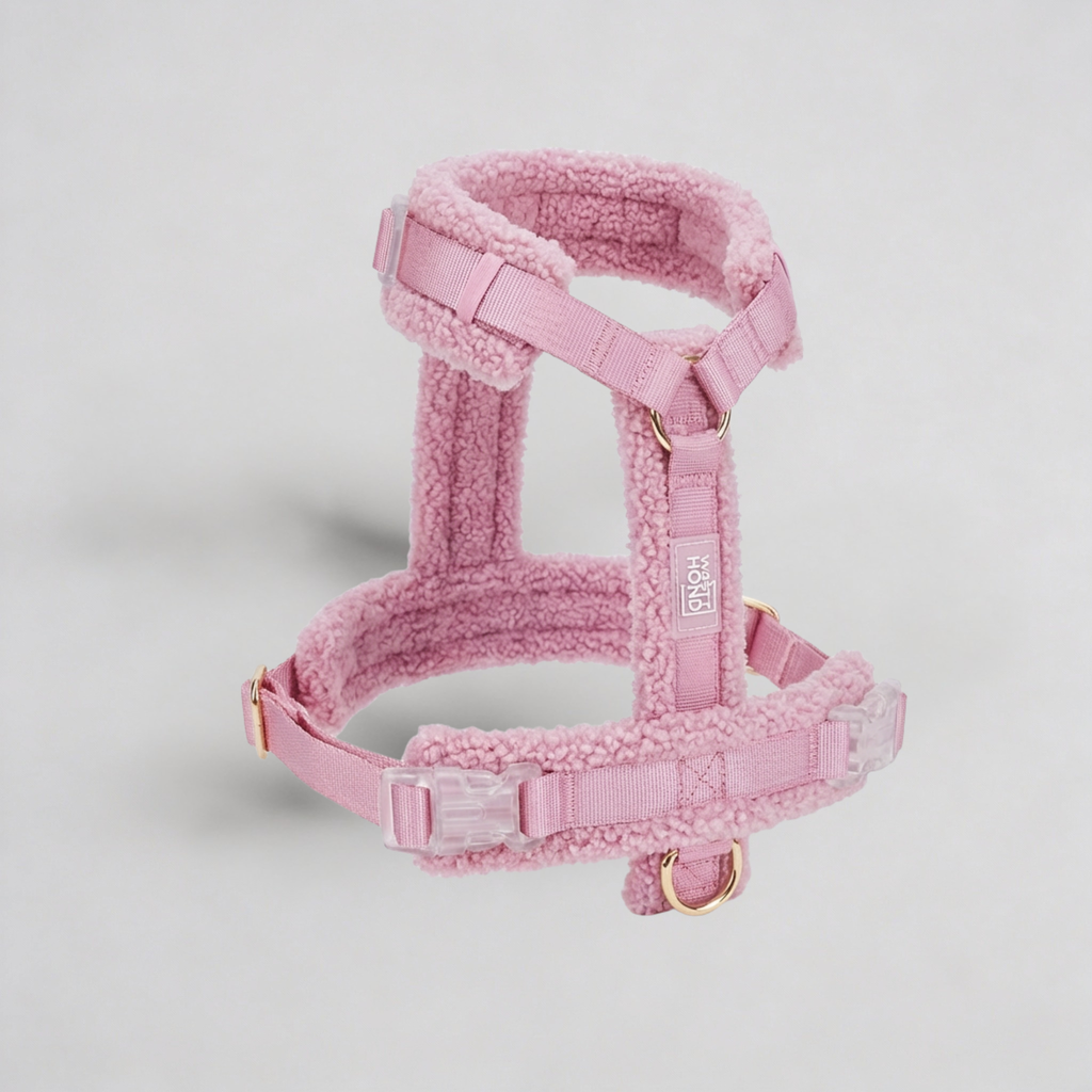Geschirr für Hund Teddy rosa