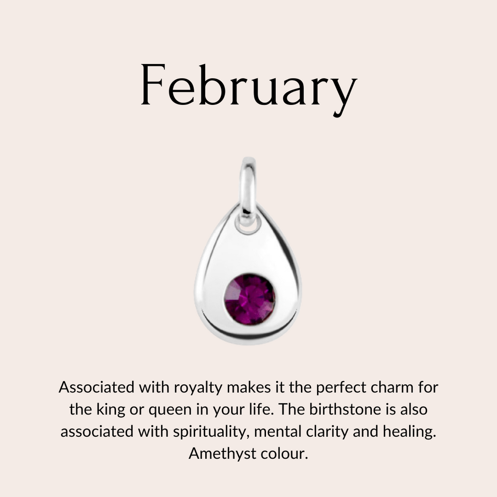 Sterling silver birthstone collare charm