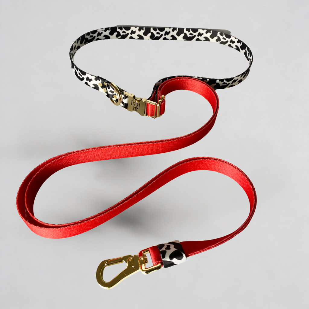 Hands-Free Hundeleine Rouge