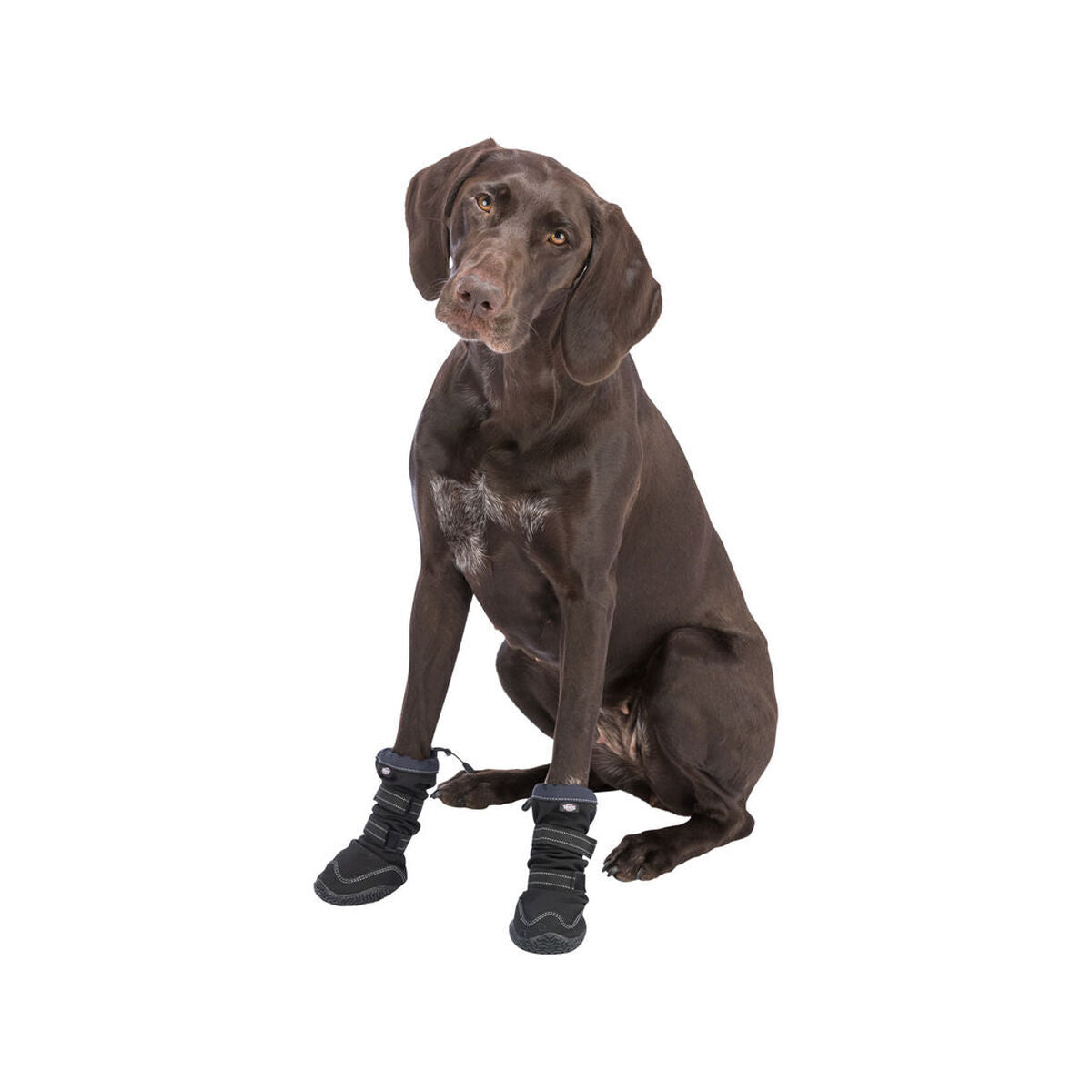 Perro shoes Trixie 19410 negro