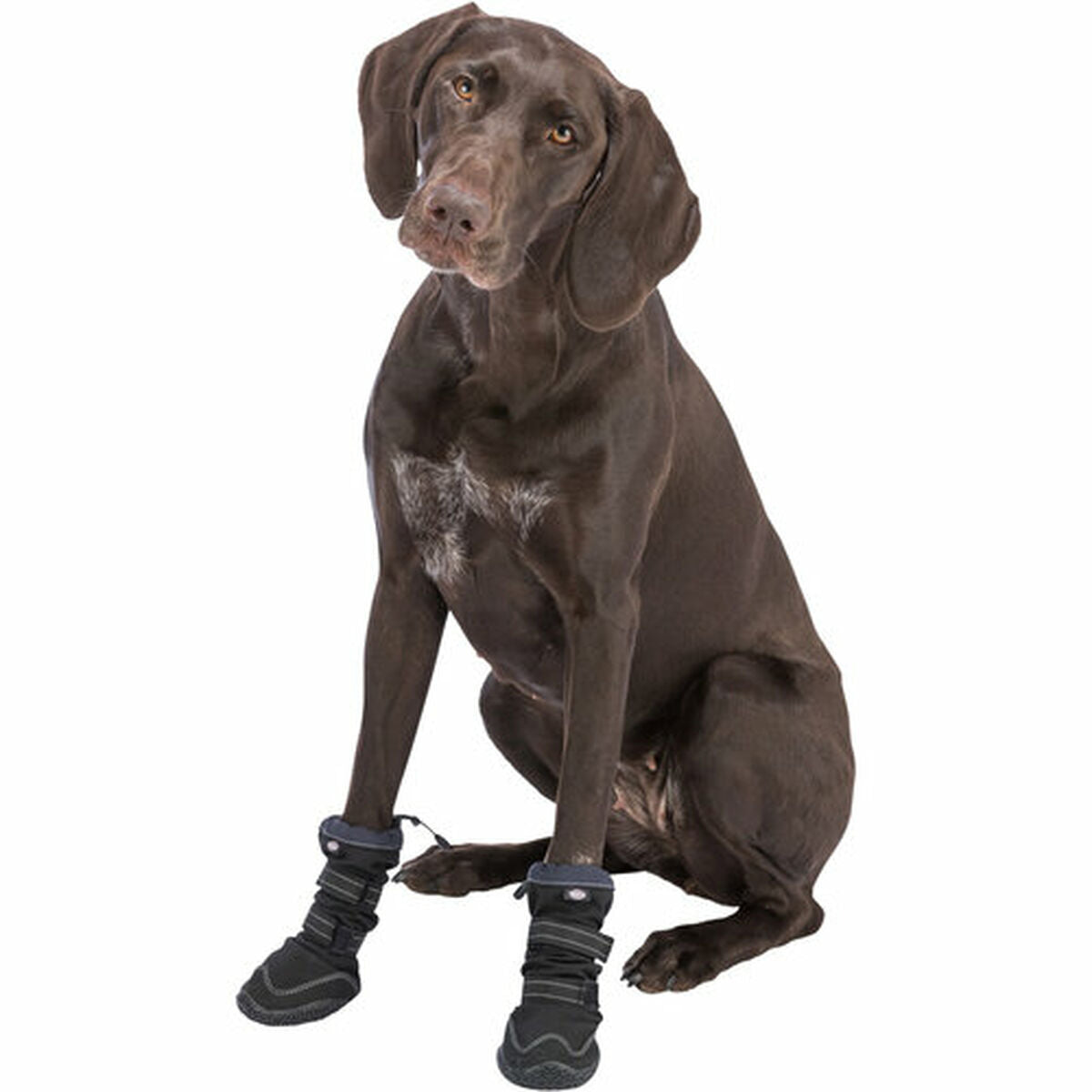 Perro shoes Trixie 19410 negro