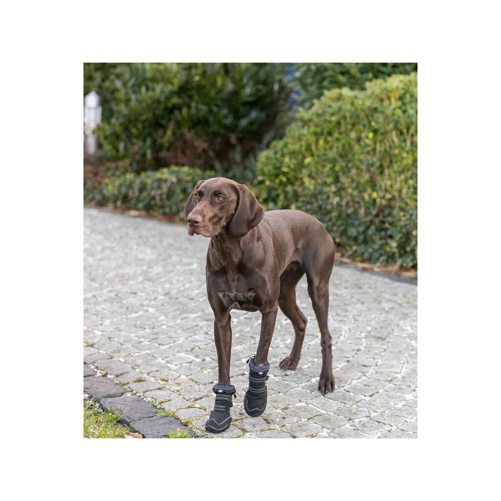 Perro shoes Trixie 19410 negro