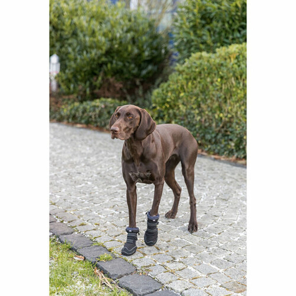 Perro shoes Trixie 19410 negro