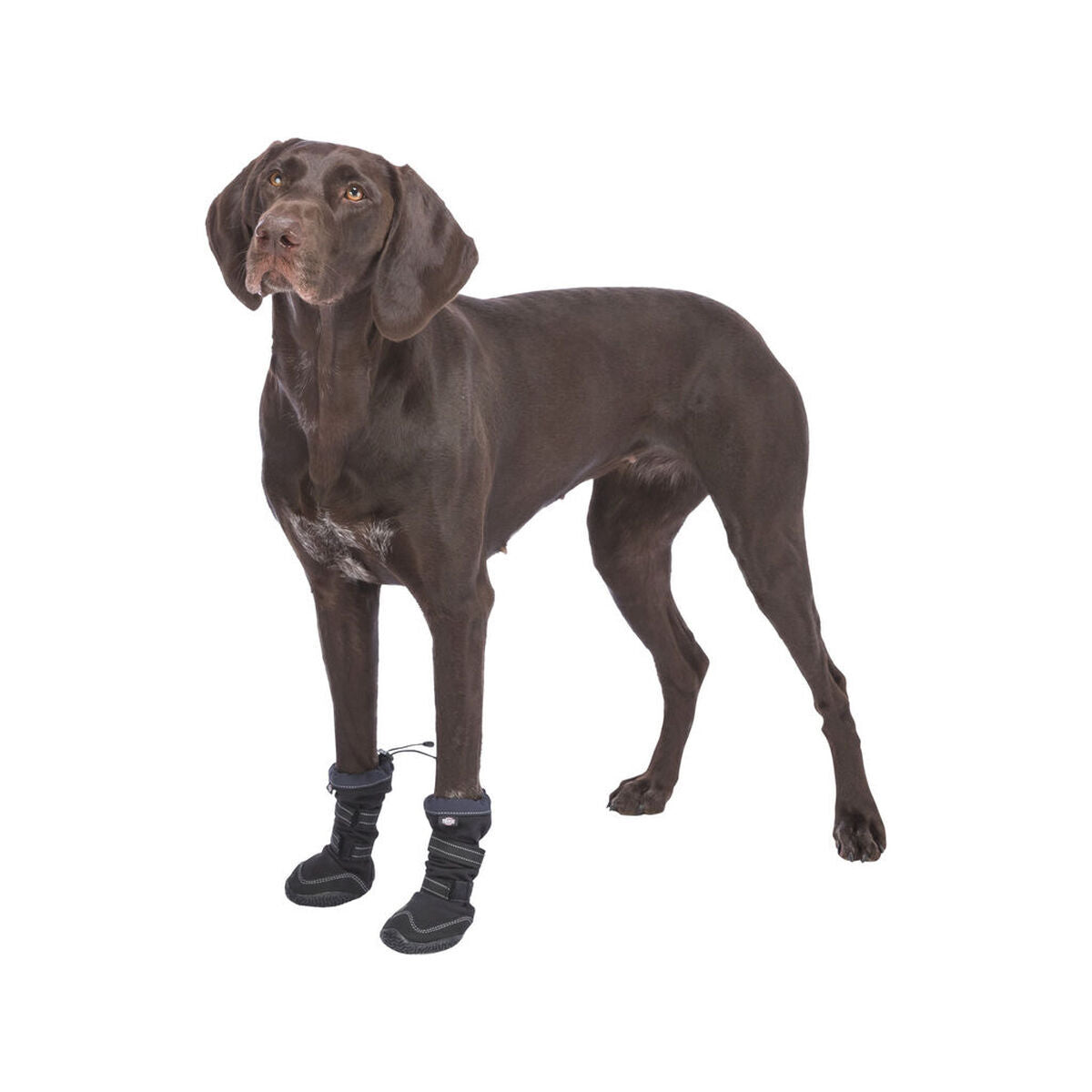 Perro shoes Trixie 19410 negro