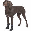 Perro shoes Trixie 19410 negro