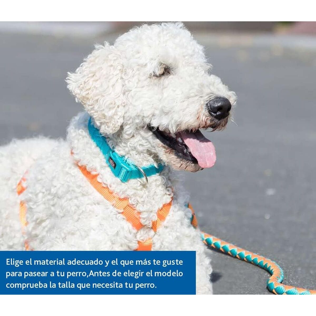 Arnes para perro Trixie New Premium rojo