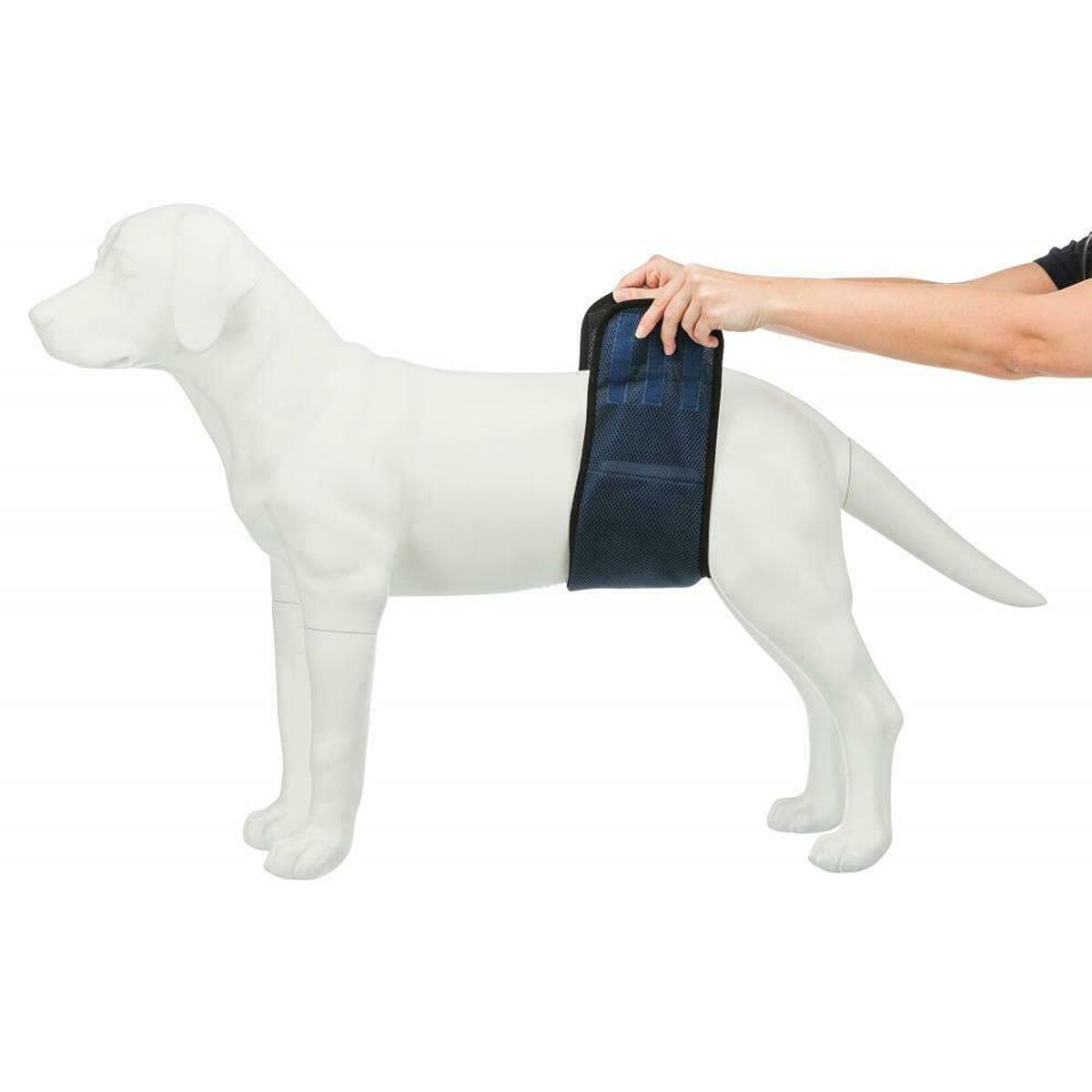 Incontinence Protector Trixie Male Plug Abdomen