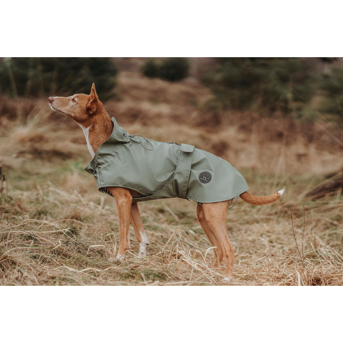 Abrigo para perro Hunter Milford verde 25 cm