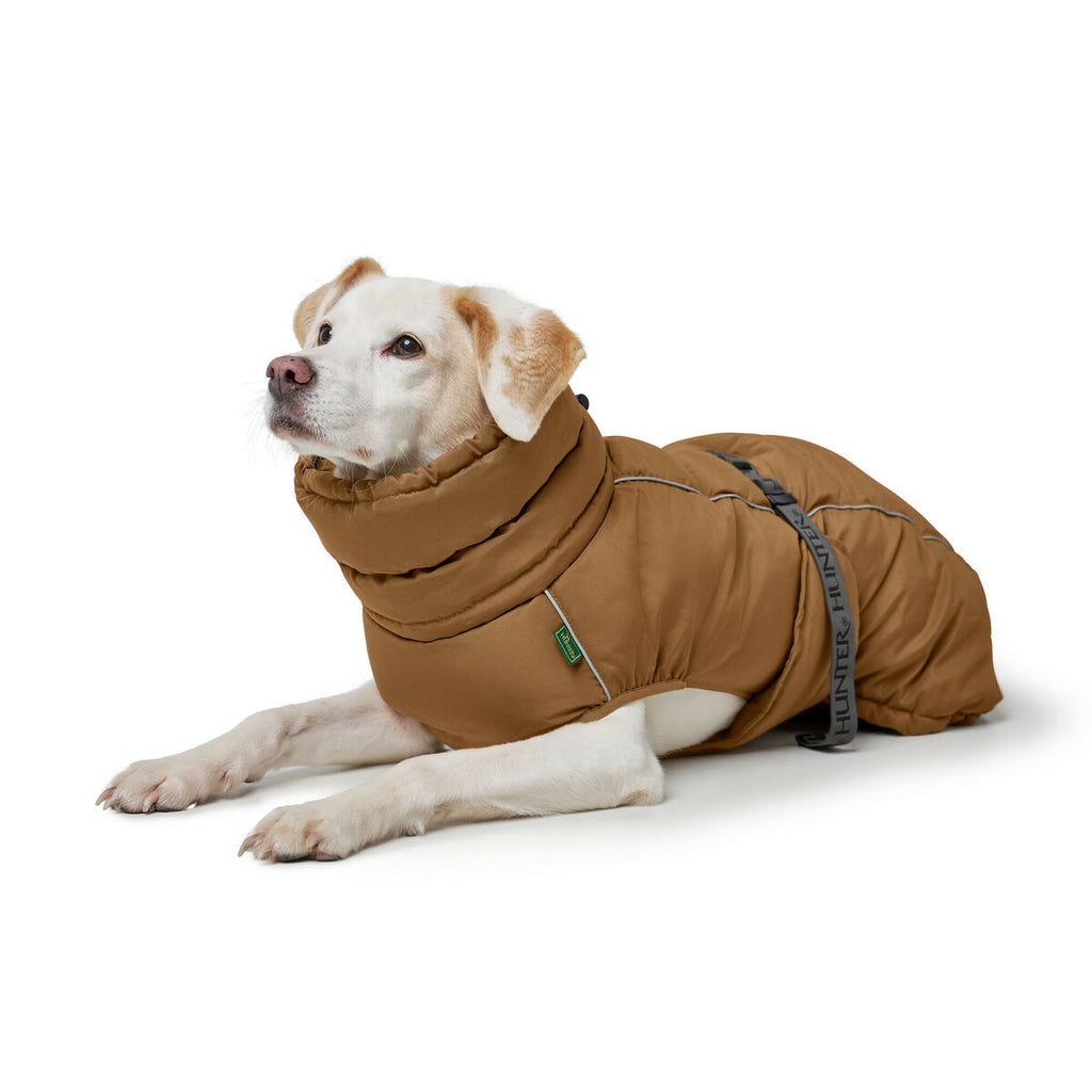 Haustier's clothing Hunter PAXSON marron Polyester