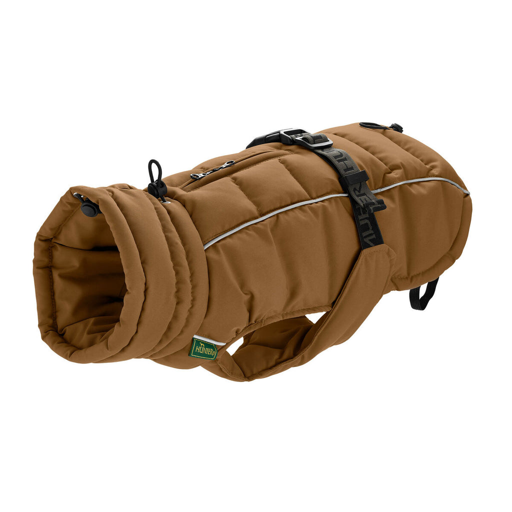 Haustier's clothing Hunter PAXSON marron Polyester