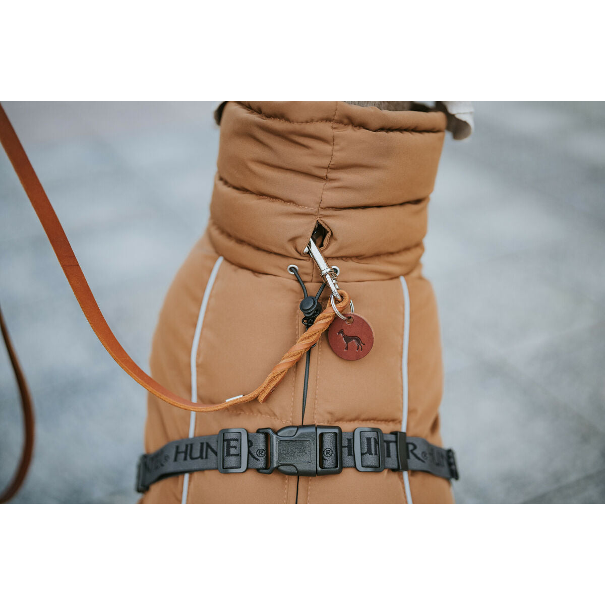 Haustier's clothing Hunter PAXSON marron Polyester