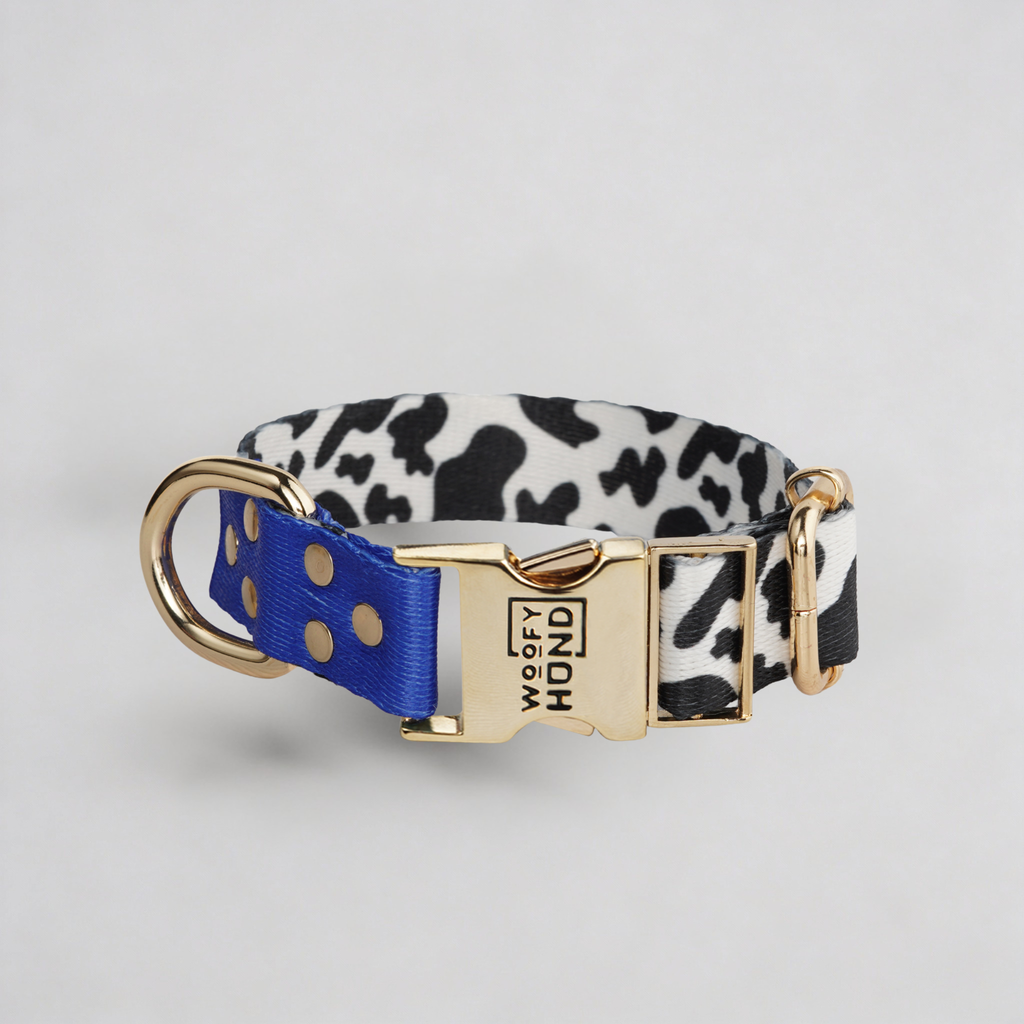 Halsband Blueberry-0
