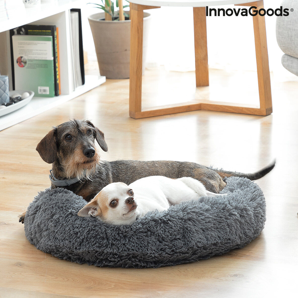 Anti-stress Panier pour animaux Bepess InnovaGoods Ø 60 cm