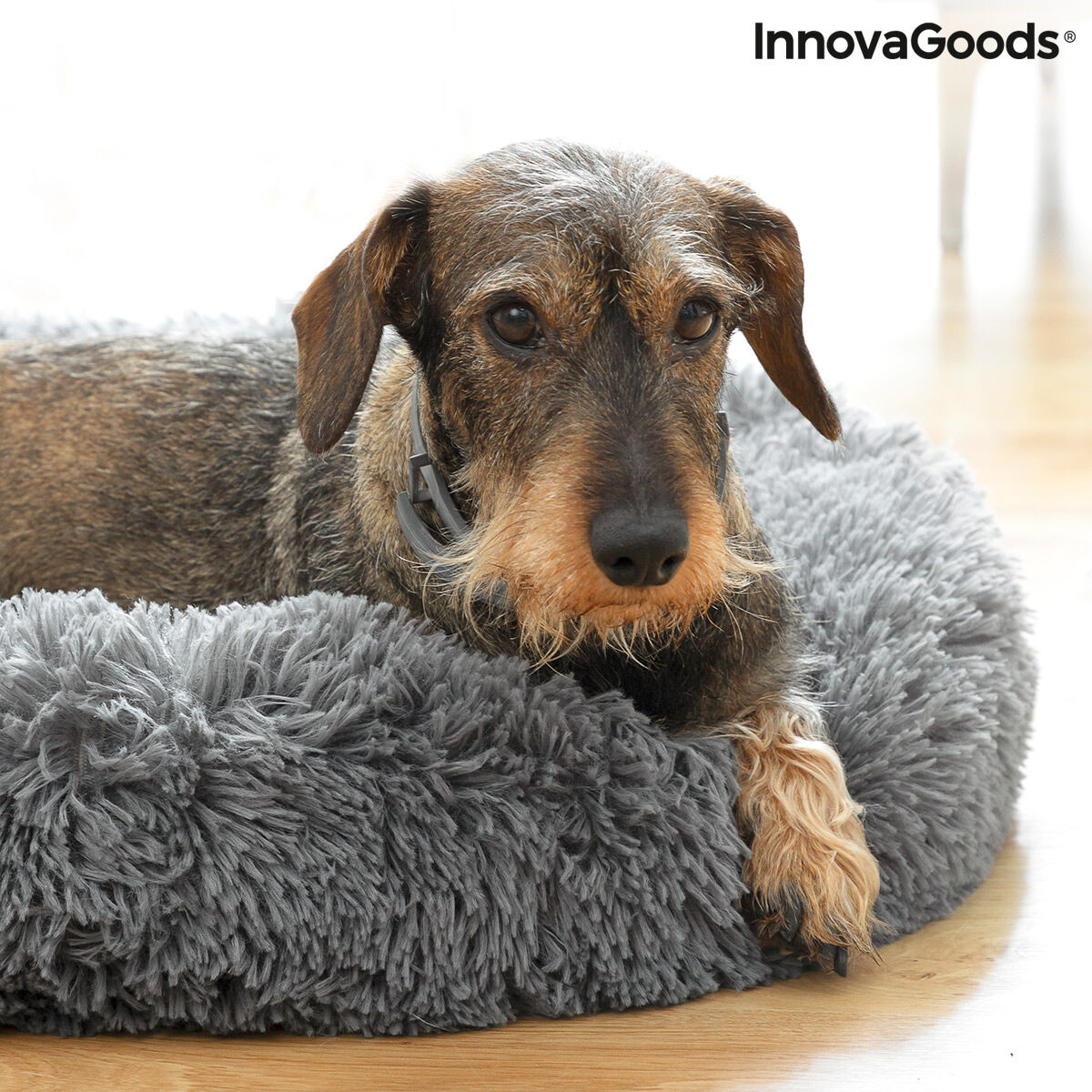 Anti-stress Panier pour animaux Bepess InnovaGoods Ø 60 cm
