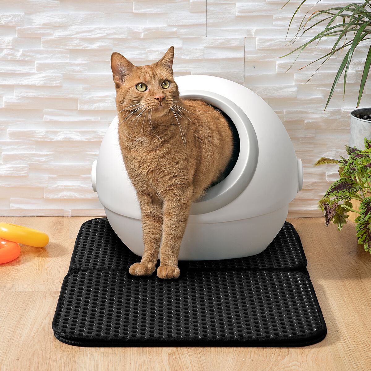 Tappetino per arenero di gatto Clikatt InnovaGoods