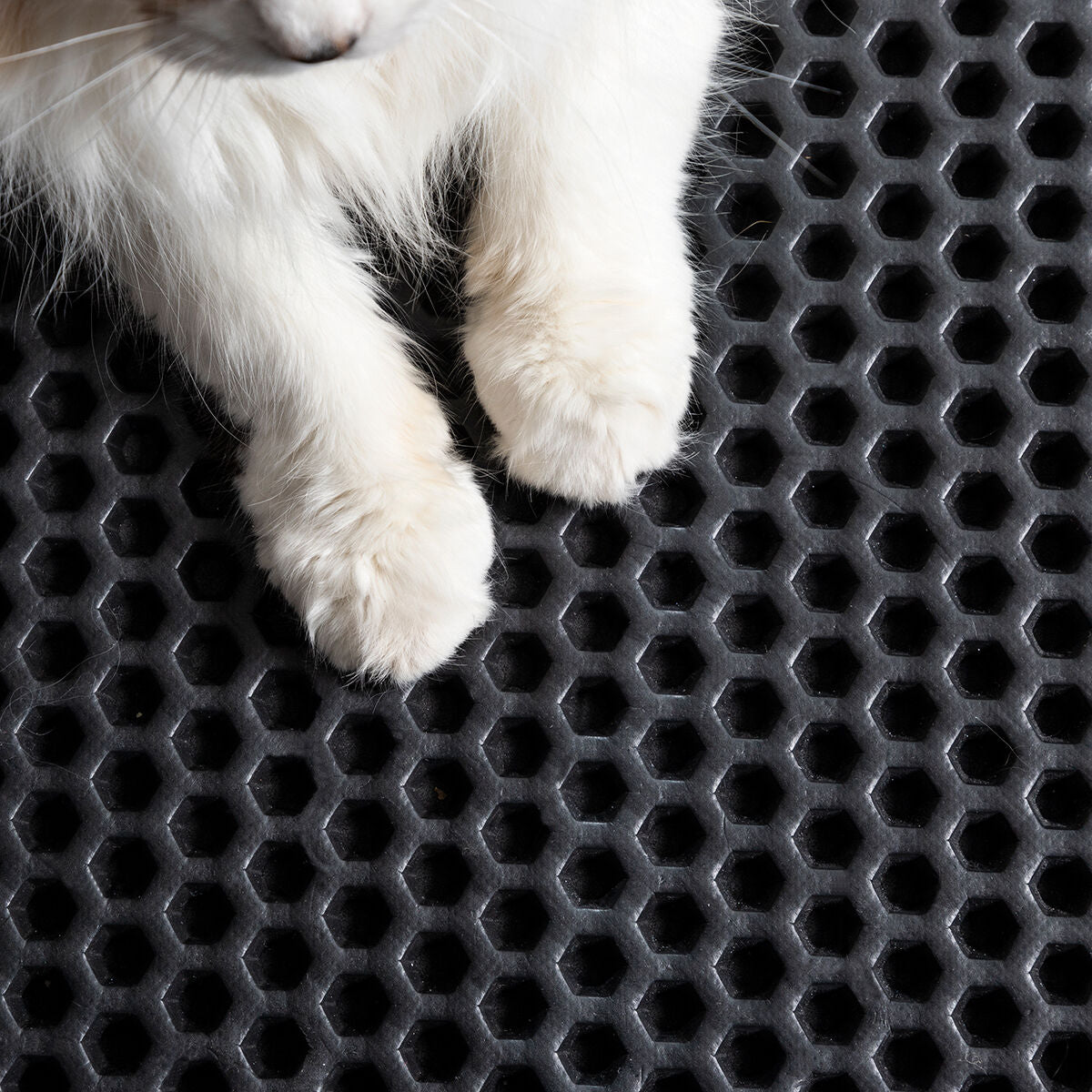 Tappetino per arenero di gatto Clikatt InnovaGoods