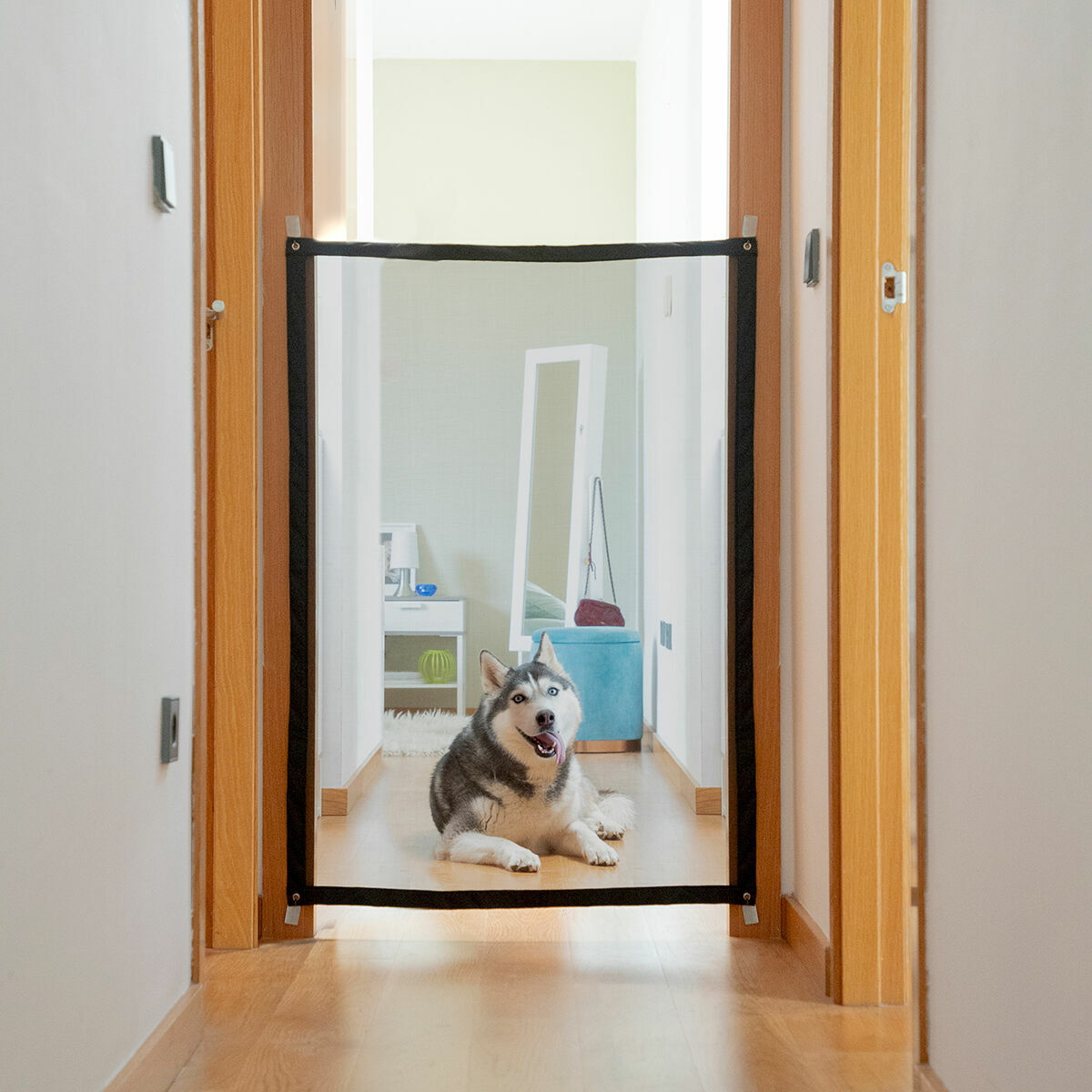 Safety Net for mascotas Petinu InnovaGoods