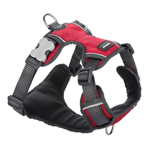 Arnes per cane rosso Dingo Padded rosso S