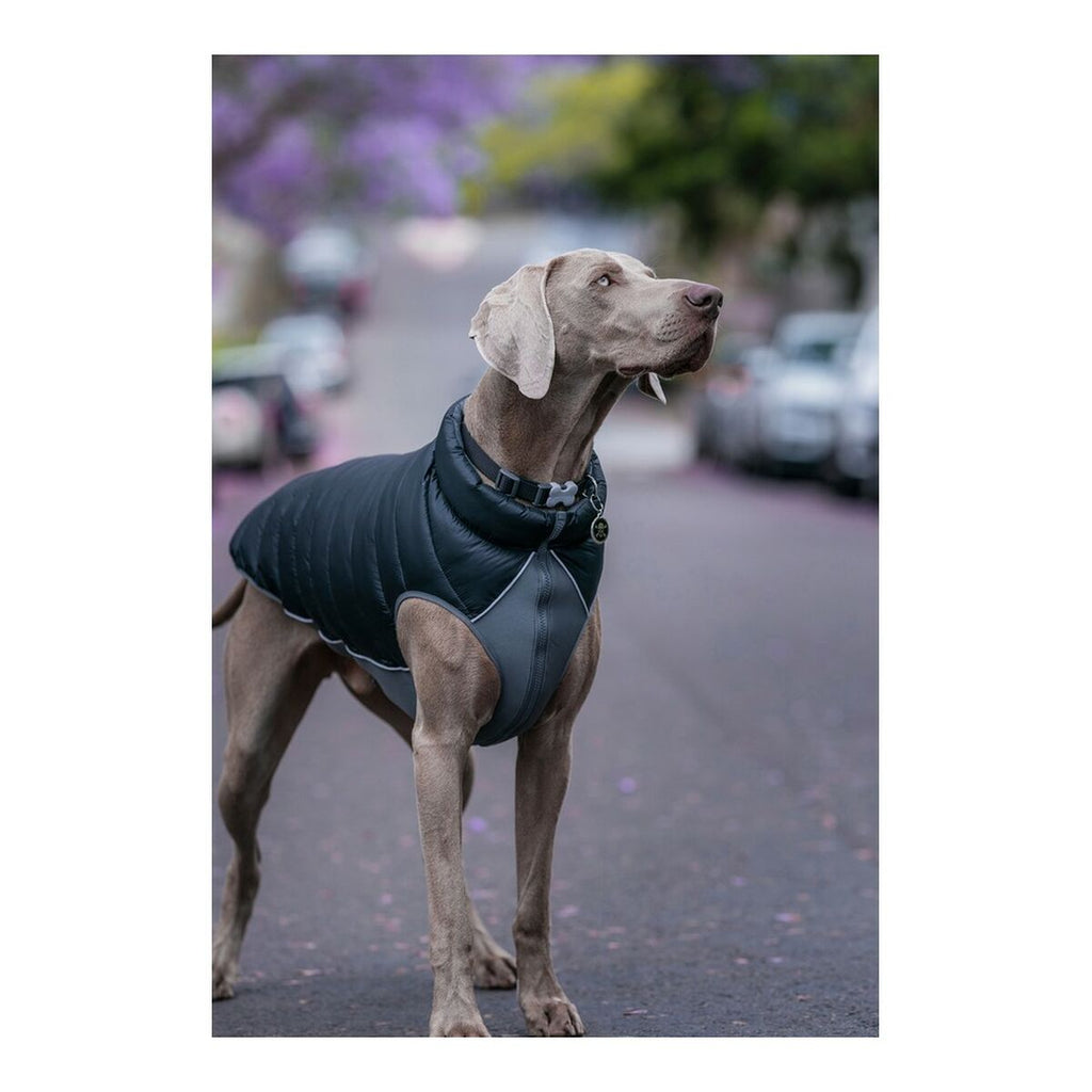 Abrigo para perro rojo Dingo Puffer negro/gris 25 cm