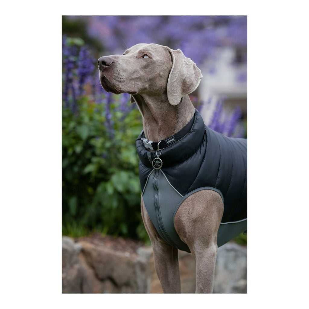Abrigo para perro rojo Dingo Puffer negro/gris 25 cm