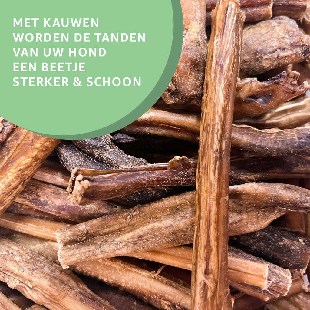 Bullepezen