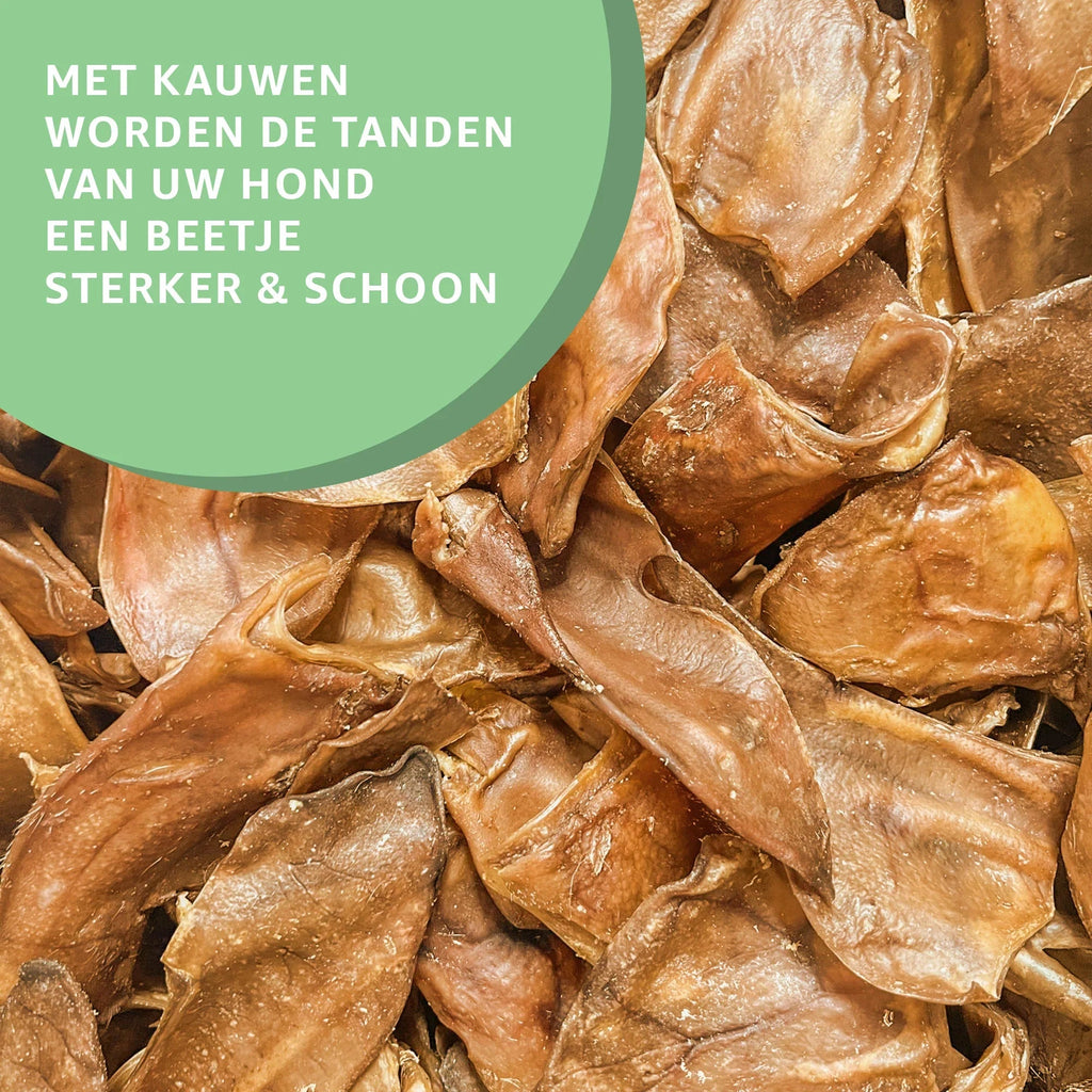 Medias pig ears for Dogs