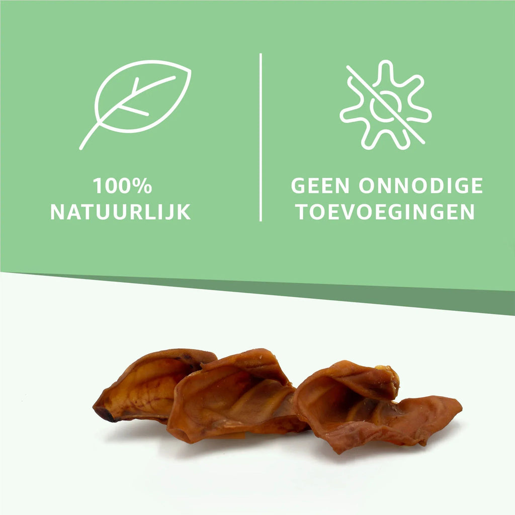Varkensoren