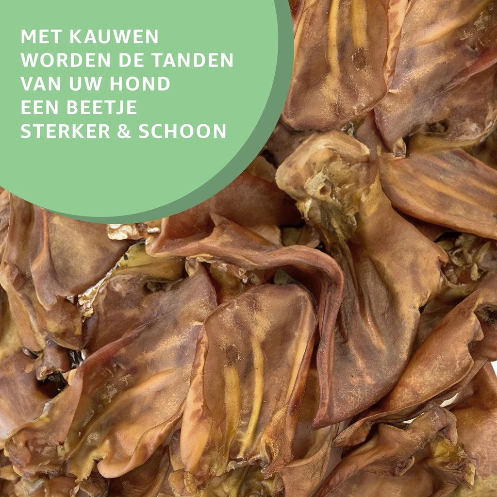Varkensoren