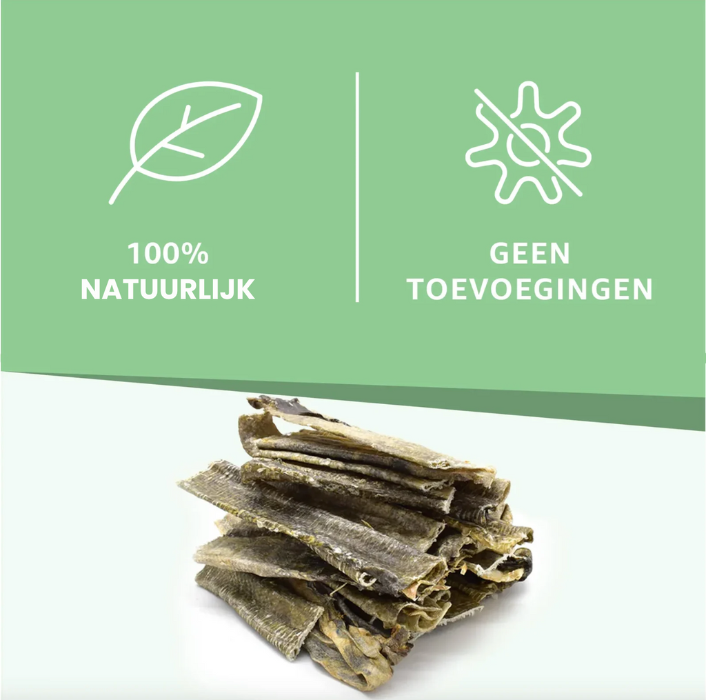 Piel of bacalao for Dogs