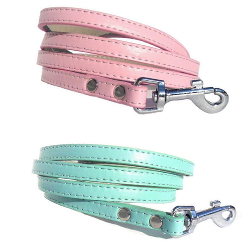 Classic Dog Leads - Blue, Small-1