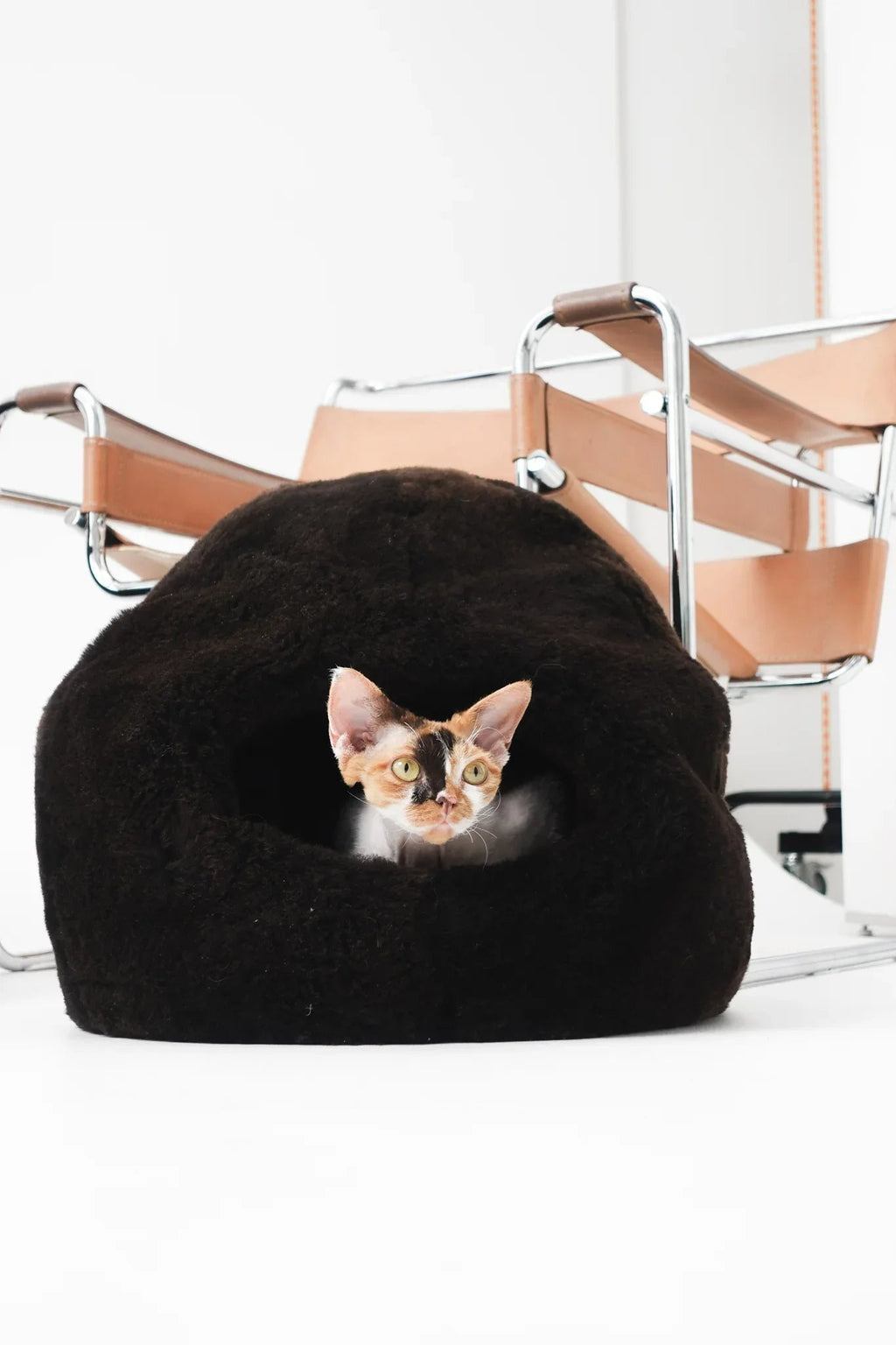 Nest natural piel de oveja cama para mascotas - marron