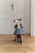 Gabardina impermeable para perro - Light azul