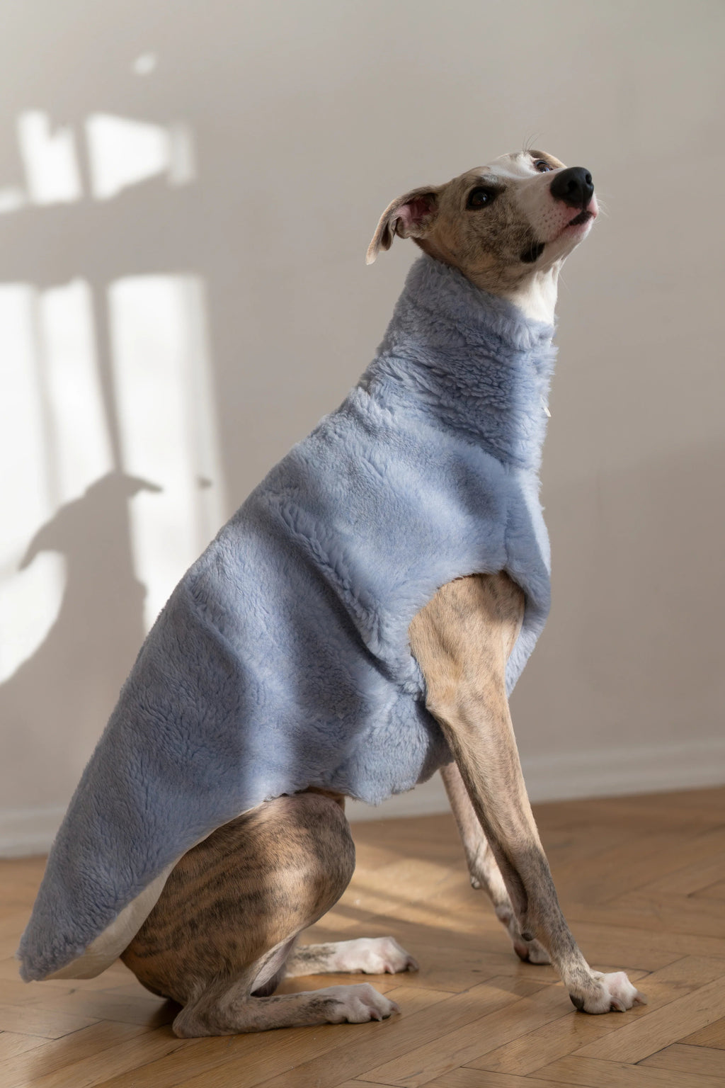Lana Hund Vest - blau