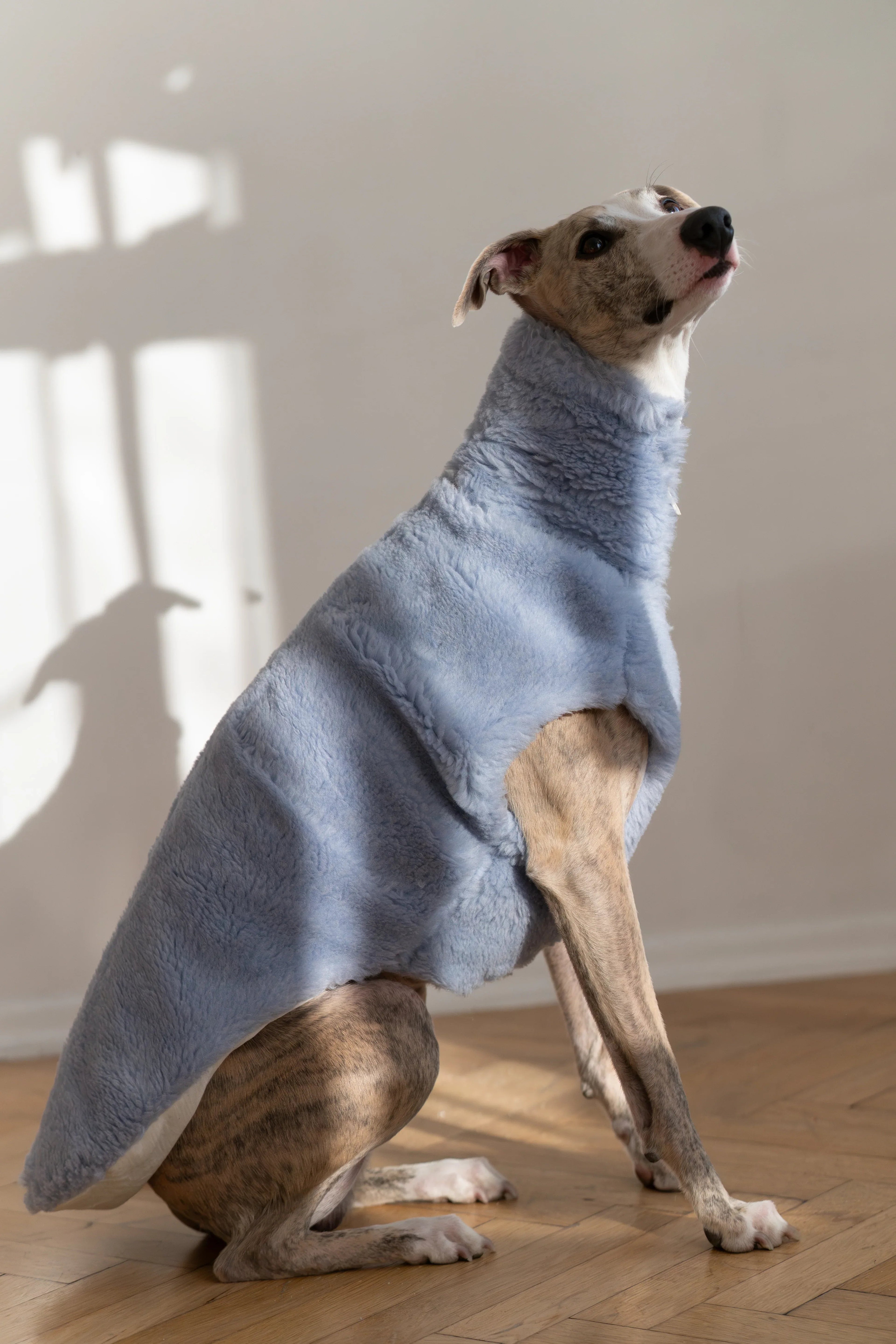 Lana Hund Vest - blau
