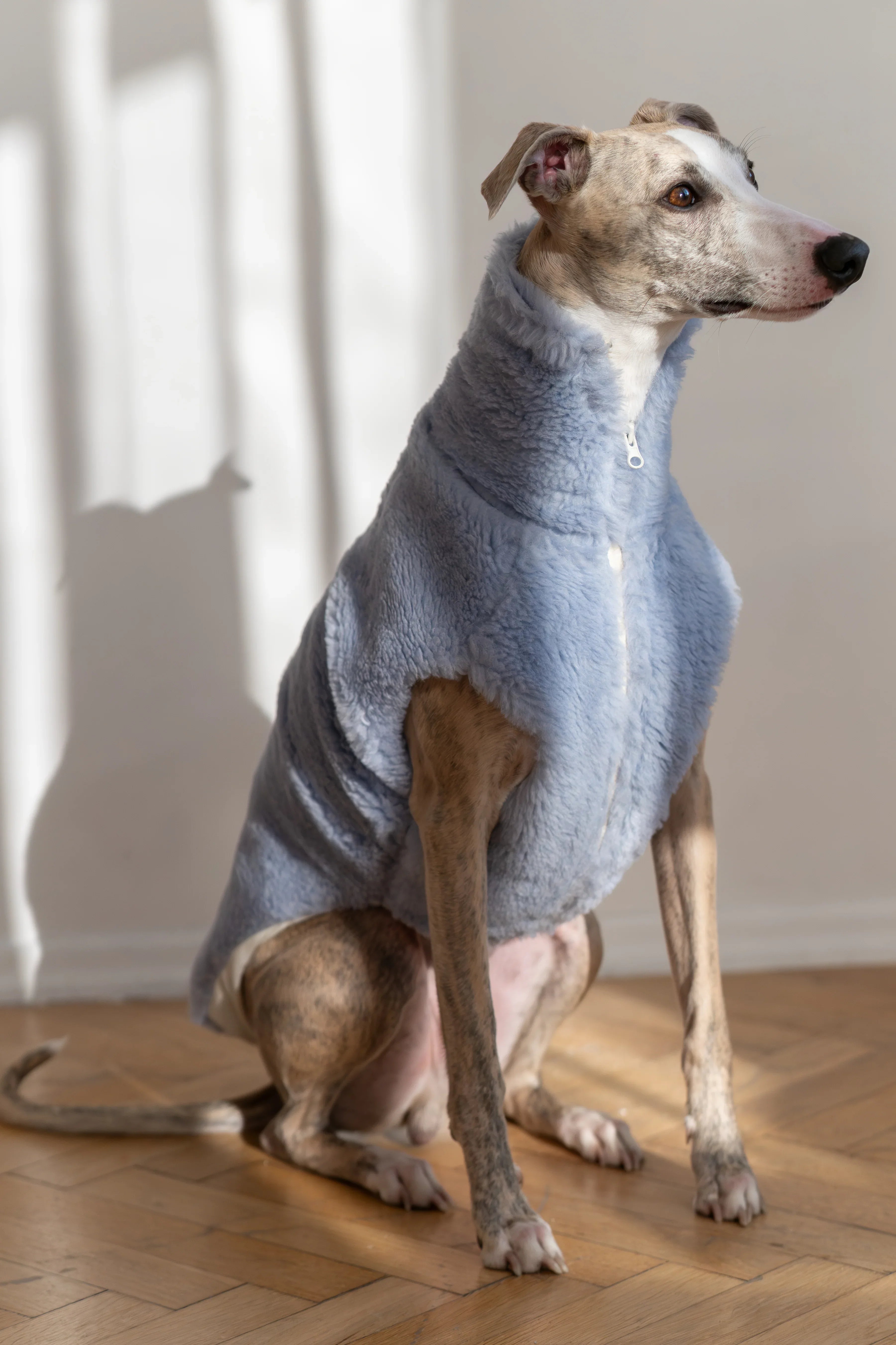 Lana Hund Vest - blau