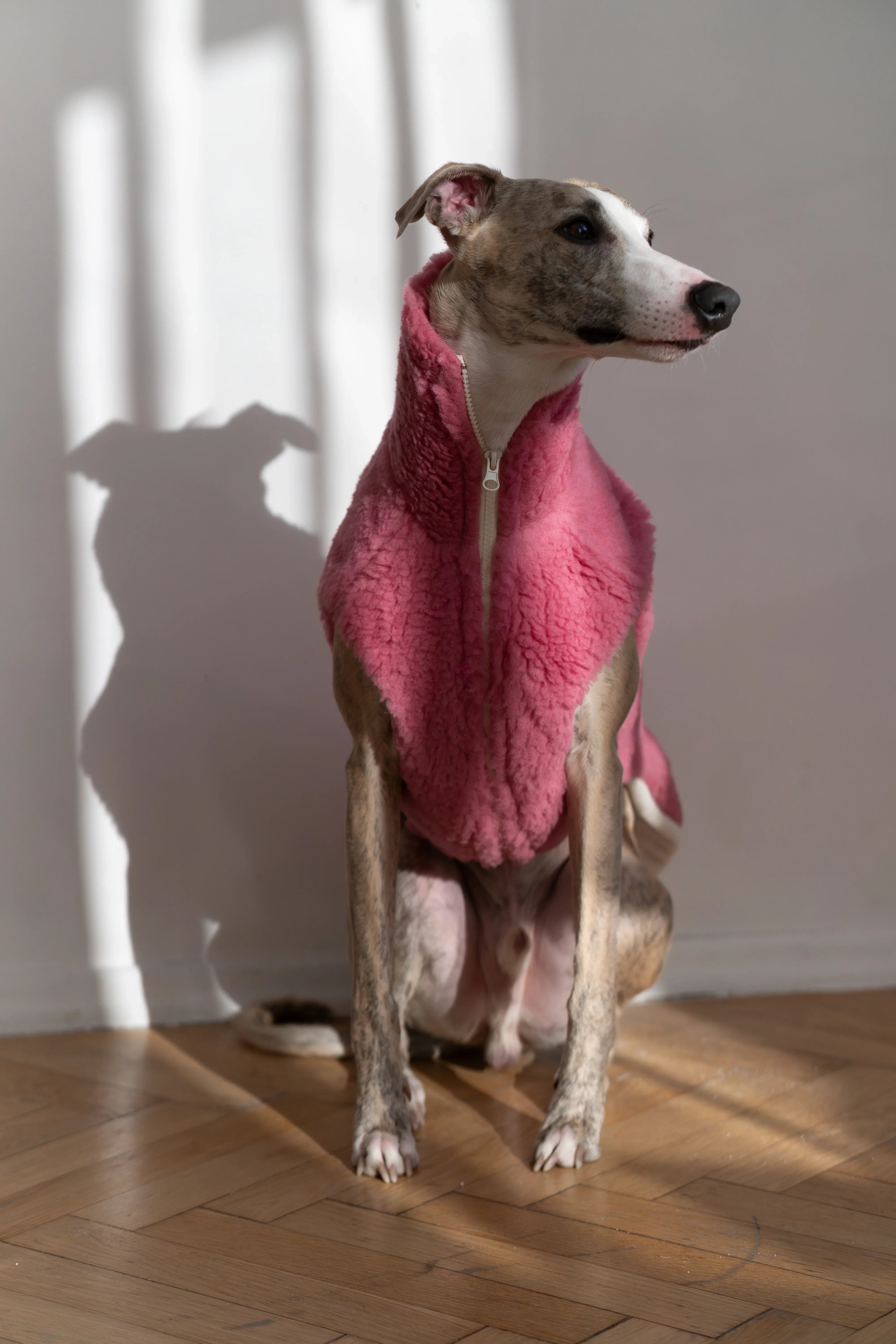 Lana perro Vest - rosa