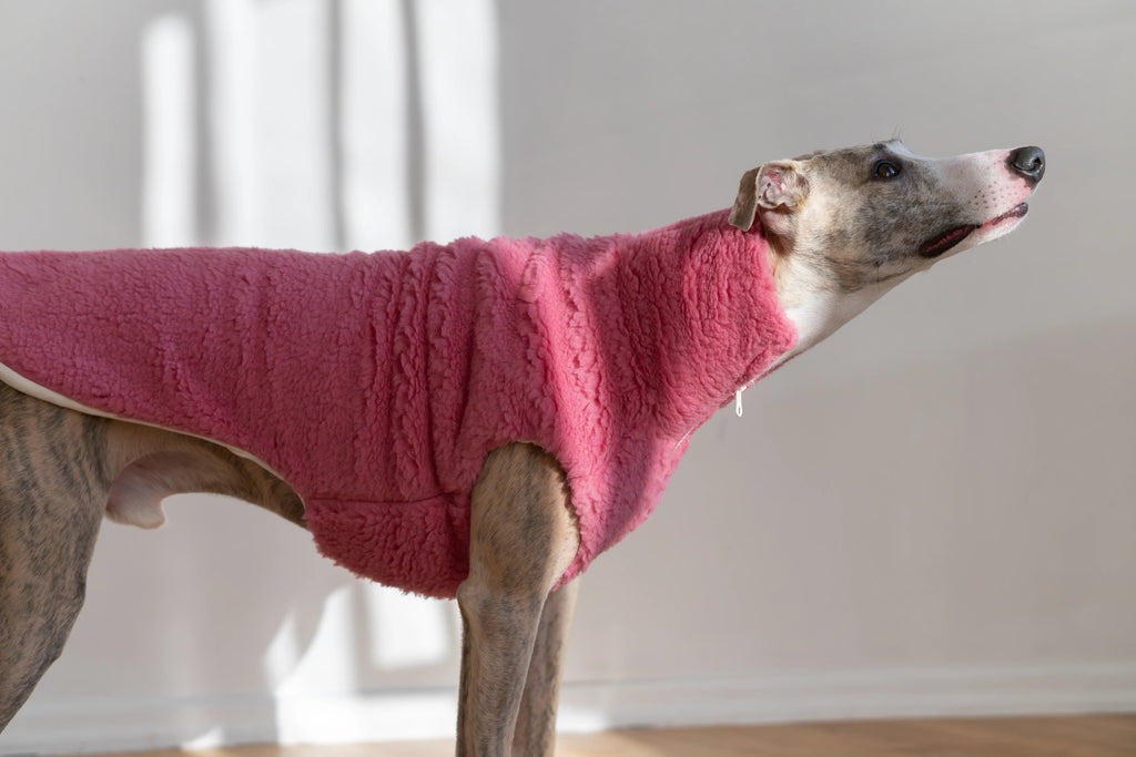 Lana perro Vest - rosa