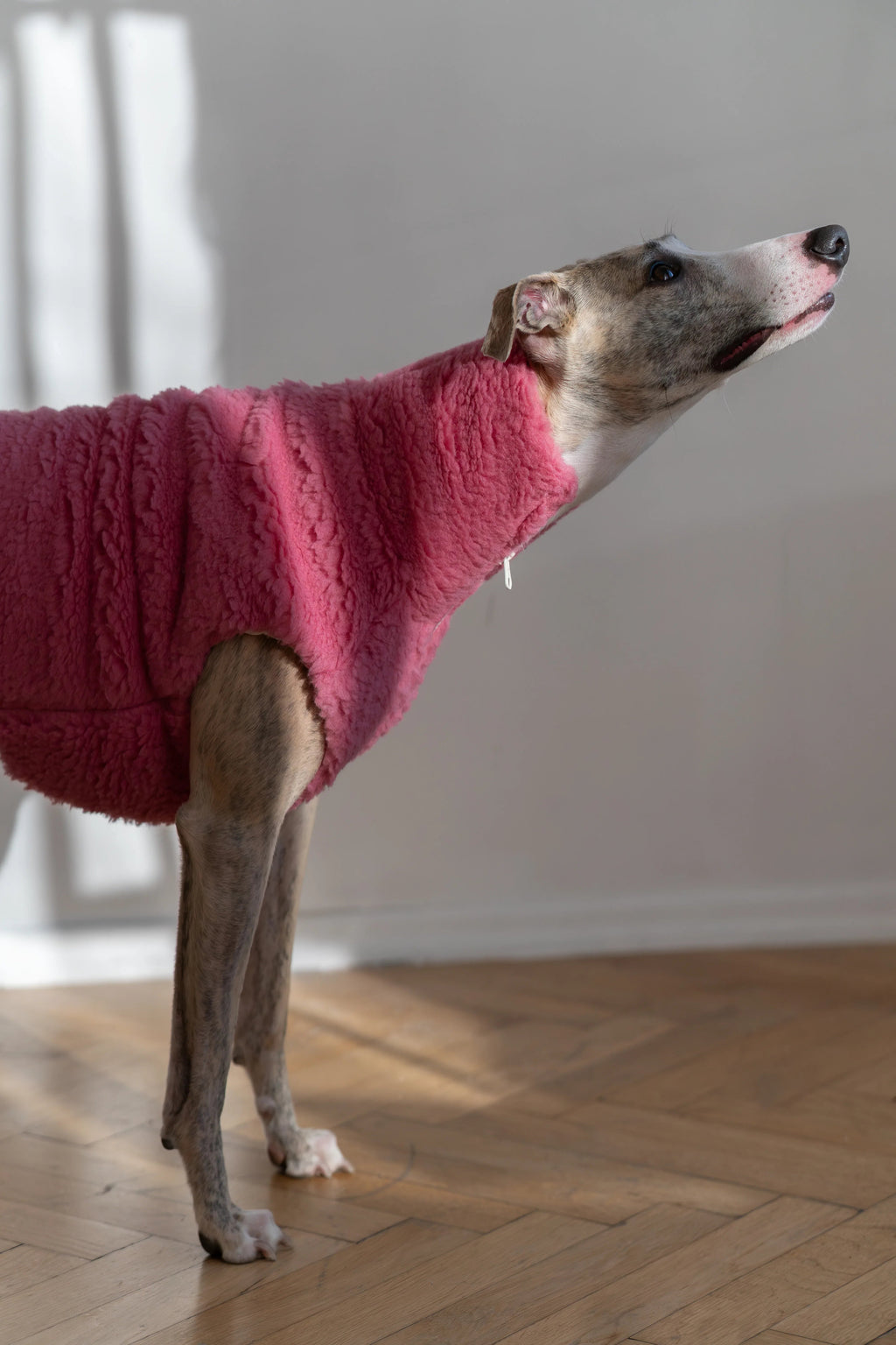 Lana perro Vest - rosa