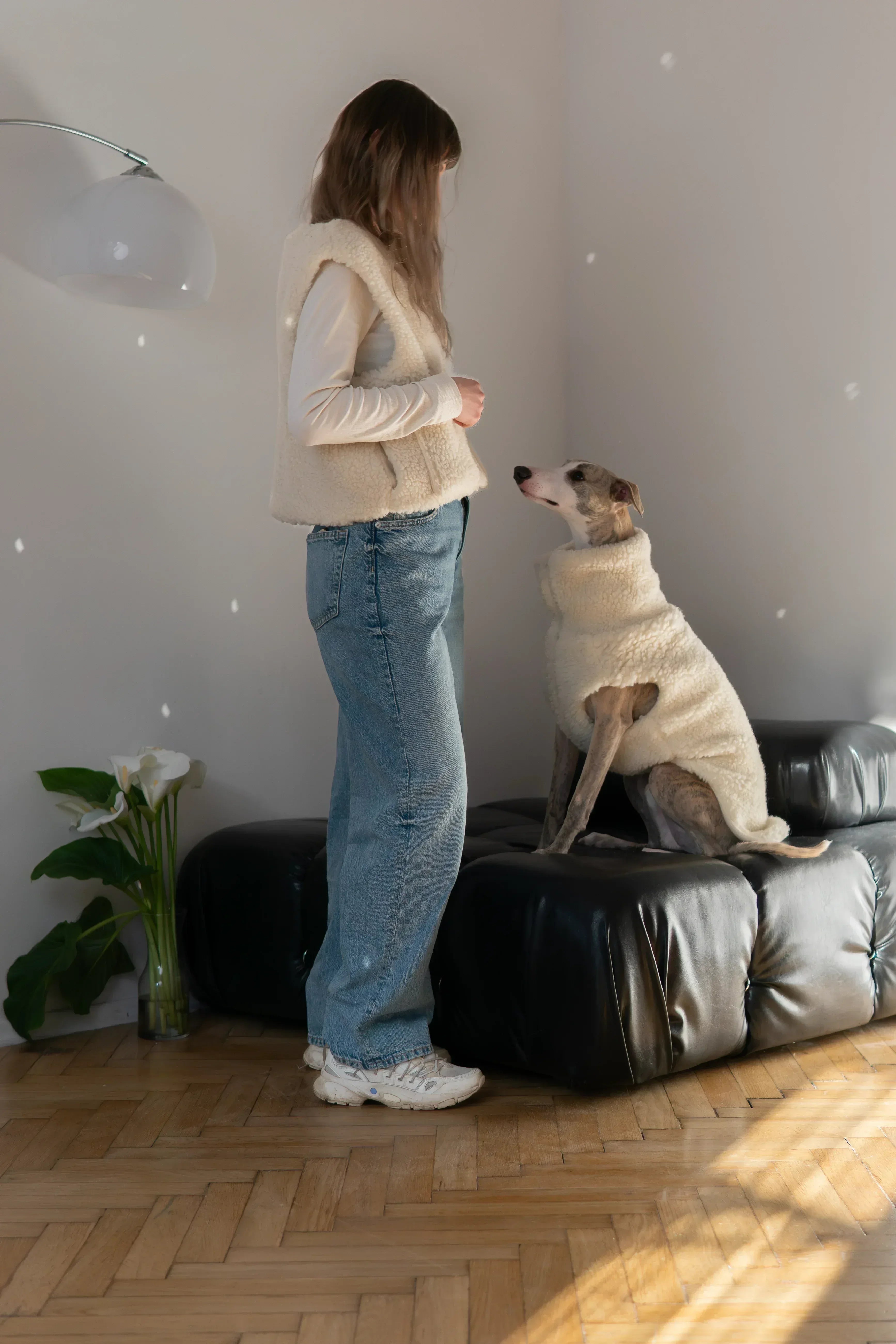 Lana perro Vest - Dark gris