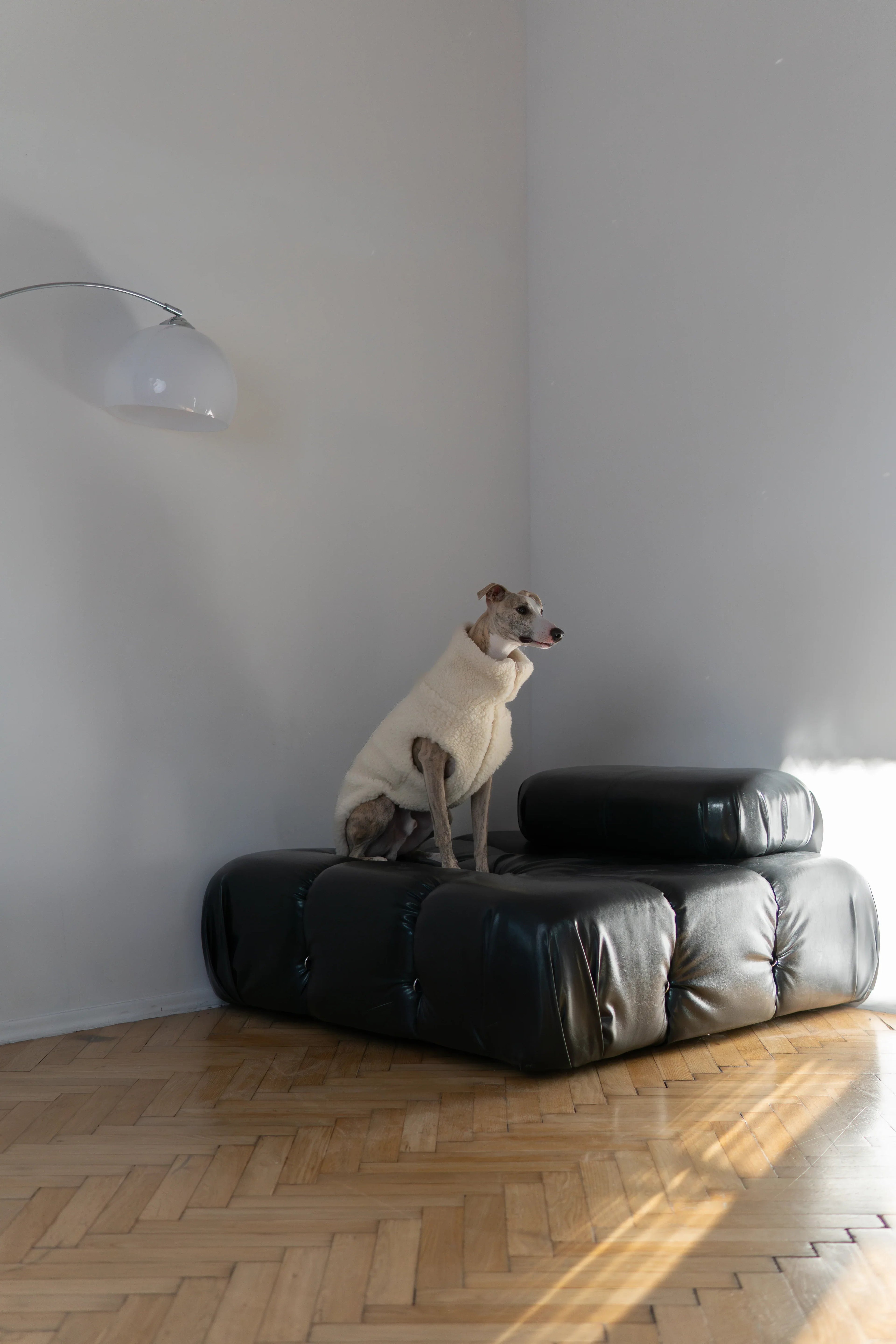 Lana Hund Vest - blau