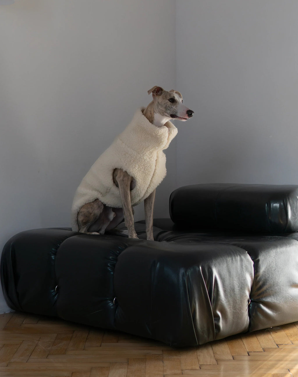 Lana perro Vest - blanco