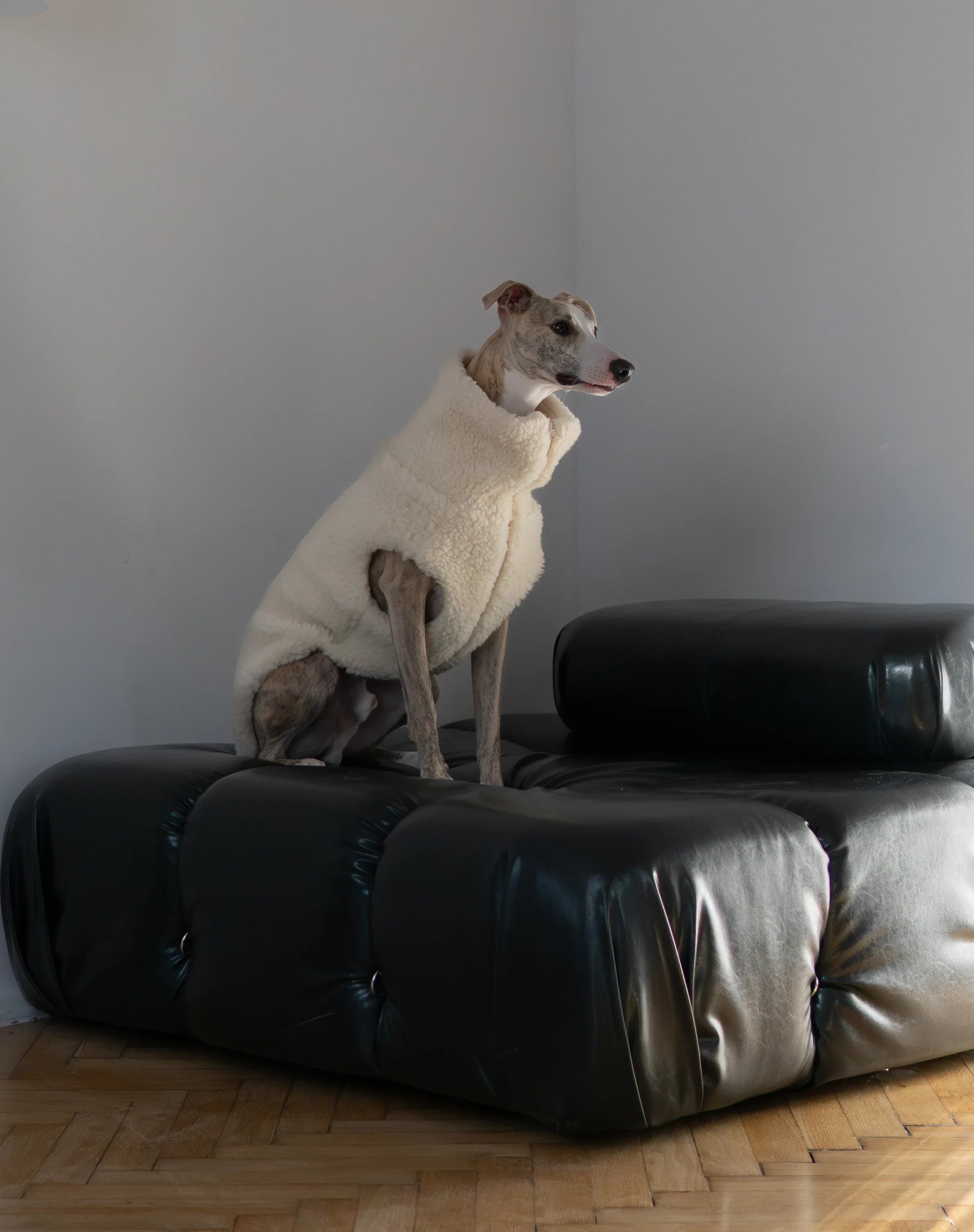 Lana perro Vest - blanco
